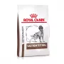 ROYAL CANIN Gastrointestinal sausas šunų ėdalas 2 kg