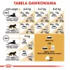 Sausas kačių ėdalas Royal Canin Maine Coon Adult 4 kg – vištiena