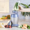 Blenderis Nutrimax Petra PT2002V4SILVERVDEEU7