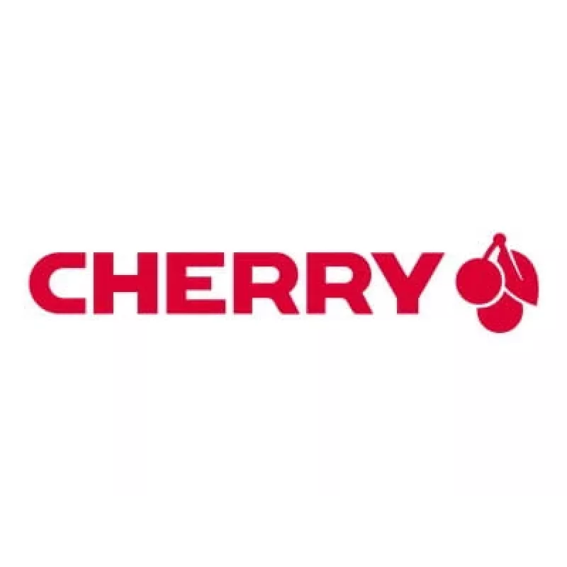 CHERRY G80-1800 klaviatūra universali USB QWERTZ vokiška pilka