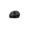 Pelė White Shark GM-5013 Azrael Black USB