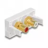 DeLOCK Easy 45 lizdas 2 x RCA baltas ABS