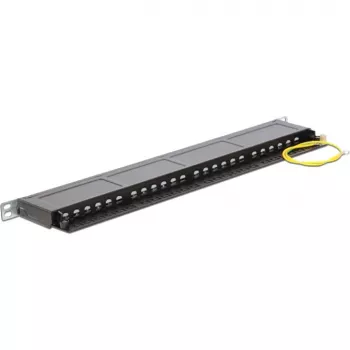 Patch panel DeLOCK 43316 0,5U 19 inch 24 prievadų LSA