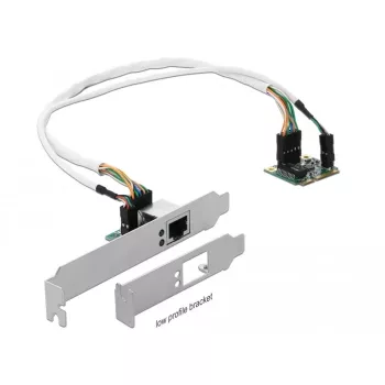 DeLOCK Mini PCIe I/O PCIe pusės dydžio 1 x Gigabit LAN Low Profile tinklo adapteris (95265)