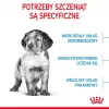 Royal Canin Medium Puppy sausas šunų ėdalas šuniukams 15 kg