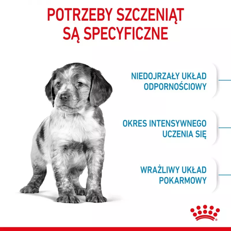 Royal Canin Medium Puppy sausas šunų ėdalas šuniukams 15 kg