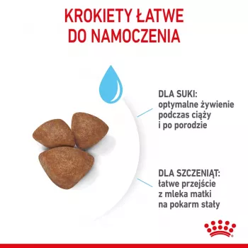 Sausas šunų ėdalas Royal Canin Starter Mother & Babydog 1 kg – vištiena, 30% baltymų, 22% riebalų