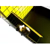 C&C modulinis narvas C&C 4x2 su Loft 2x1 ir pilku rampu – modulinis narvelis jūrų kiaulytėms, 145×75×75 cm, 10 kg