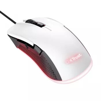 EURA IP GATEWAY ACA-20C9, skirtas TT Lock programėle pagrįstiems įrenginiams