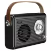 Nešiojamas radijo imtuvas Savio RS-01 Analog Black