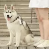 PETKIT Šunų išmatų maišeliai