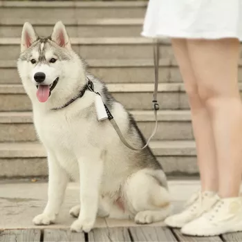 PETKIT Šunų išmatų maišeliai