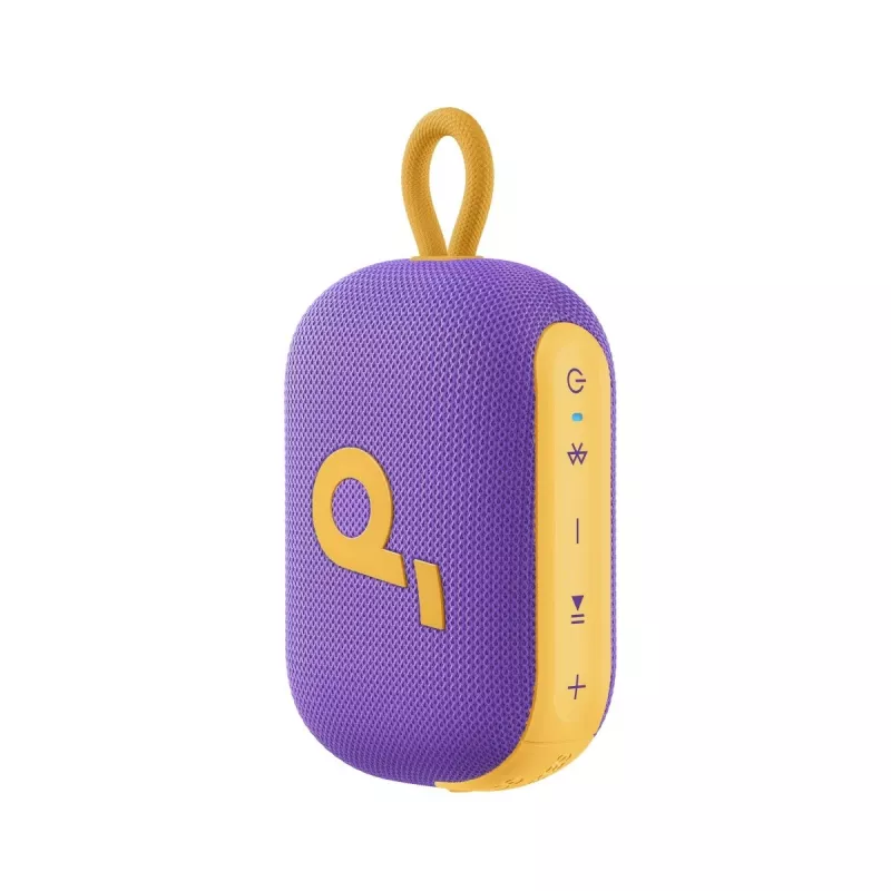 Nešiojamas garsiakalbis Soundcore Select 4 Go Violetinis