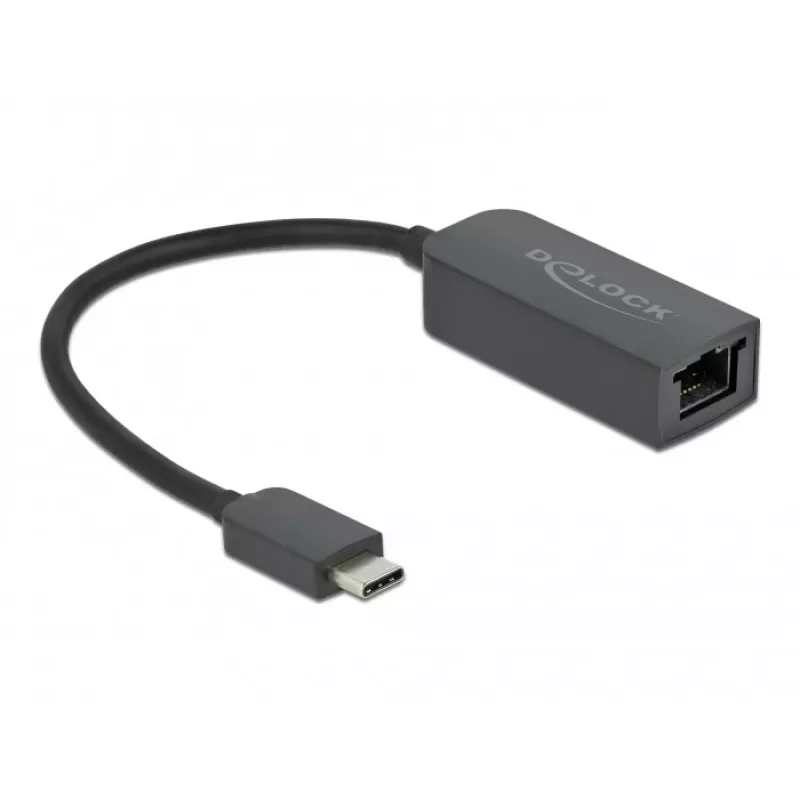 Adapteris USB Type-C (vyriškas) į 2.5 Gigabit LAN kompaktiškas DeLOCK 66645