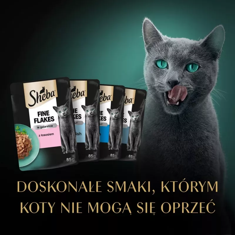 Šlapias kačių ėdalas Sheba Moist 80 g — suaugusioms katėms, žuvų mišinys: menkė, lašiša, tunas, baltosios žuvys