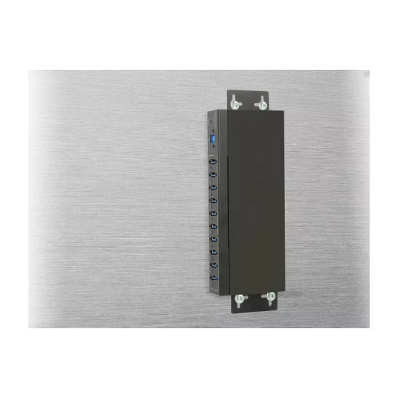 USB šakotuvas DeLOCK 63919