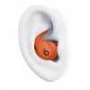Ausinės Apple Powerbeats Fit belaidės sportinės