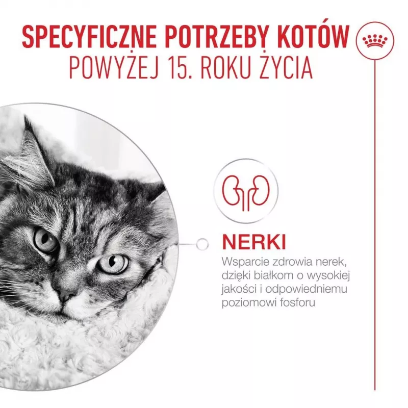 ROYAL CANIN Ageing 15+ - sausas kačių maistas - 4kg