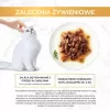 GOURMET Gold Sauce Delight Jautiena – šlapias kačių ėdalas – 85 g