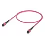 Ubiquiti UACC-OFC-MA-MPMP-1M-10 patalpoms skirtas OM4 daugiamodis optinis kabelis, UPC, 1 m, 10 vnt. komplektas