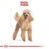 Sausas šunų ėdalas Royal Canin Poodle Adult 1,5 kg — vištiena, 30 % baltymų, 19 % riebalų