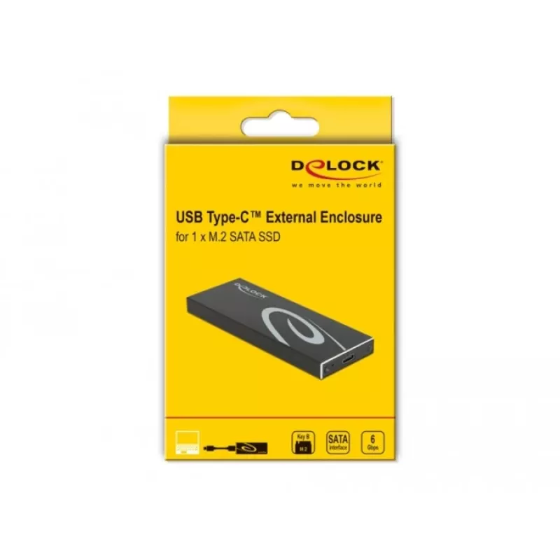 Išorinis SSD korpusas DeLOCK 42003 M.2 SATA SSD su USB Type-C
