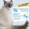 INABA Churu Skin&Coat Vištienos receptas – skanėstai katėms 4x14 g