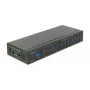 USB šakotuvas DeLOCK 63919