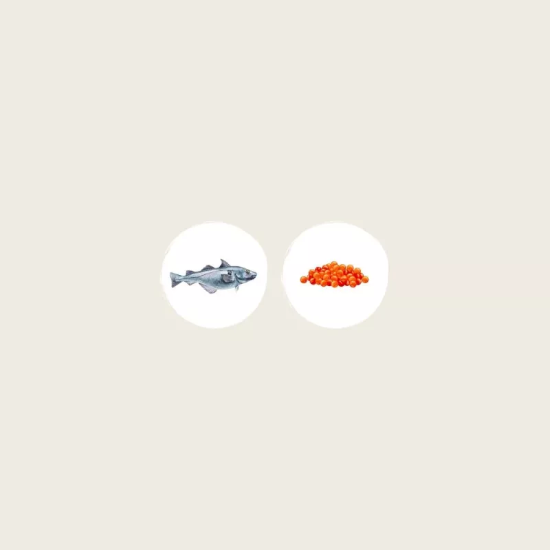 EDEN White Fish with Herring Caviar - sausas ėdalas katėms - 1,5 kg