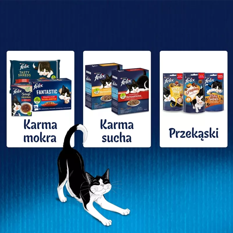 Šlapias kačių ėdalas Felix Sensations Country Flavors drebučiuose, multipack 24×85 g