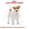 ROYAL CANIN Jack Russell Adult – Sausas šunų ėdalas – 7,5 kg