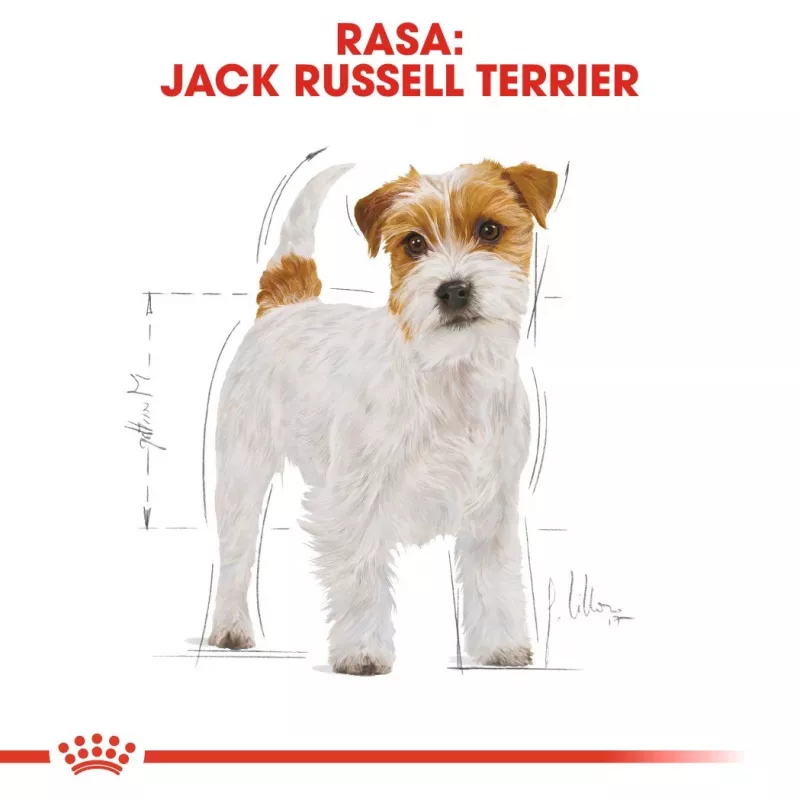 ROYAL CANIN Jack Russell Adult – Sausas šunų ėdalas – 7,5 kg
