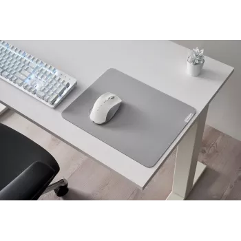 Razer PRO GLIDE pelių kilimėlis minkštas pilkas (RZ02-03331500-R3M1)