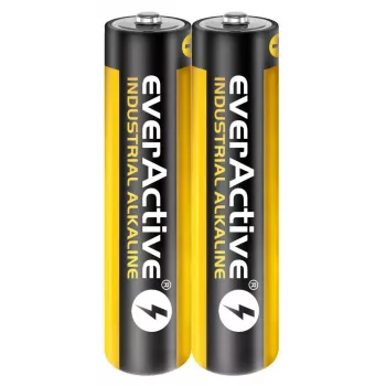 Šarminė vienkartinė baterija everActive EVLR03S2IK AAA 1,5V, 40 vnt., 5 metų galiojimo laikas