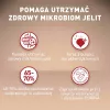 Sausas šunų ėdalas Purina Nestle Mini Adult Jautiena su Ryžiais 800 g