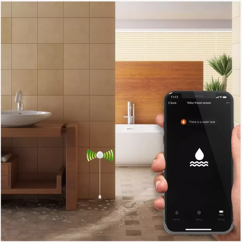 Tellur WiFi AAA vandens nuotėkio detektorius baltas – belaidis jutiklis su 1 m zondo laidu