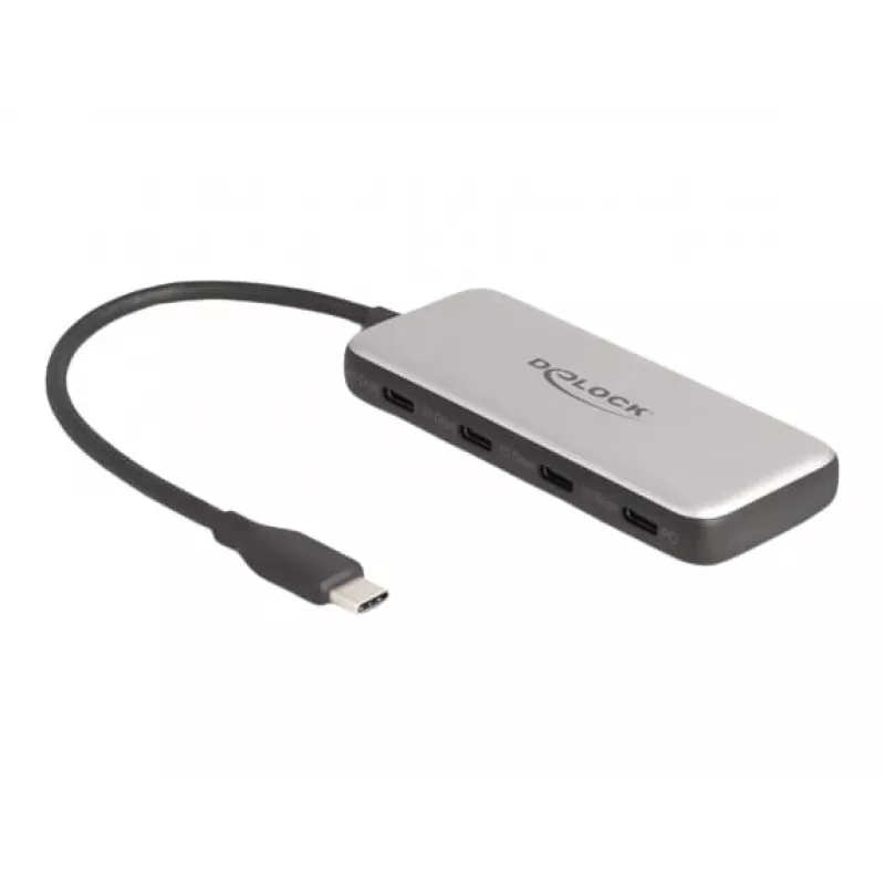 DeLOCK 64261 USB 3.2 Gen 1 Type-C šakotuvas 10000 Mbit/s juoda pilka
