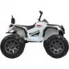 Vaikiškas keturratis Ride-on Protector Quad, baltas, 12 V