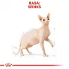 Sausas kačių ėdalas Royal Canin Sphynx Adult 2 kg – kiaulienos skonis