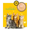 3COTY Chicken For kittens šlapias kačių maistas kačiukams 80 g