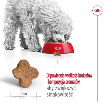 Sausas šunų ėdalas Royal Canin Mini Adult 8+ 2 kg – smulkioms veislėms 5–10 kg, paukštiena, svorio kontrolės formulė