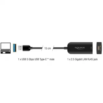 DeLOCK 66045 USB 5 Gbps Type-A į 2.5 Gigabit LAN RJ45 adapteris, 0,15 m, juodas