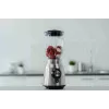 Zelmer ZSB4850 stalinis blenderis 1,75 L 1250 W nerūdijantis plienas