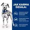HILL'S Prescription Diet Urinary Care Original – šlapias šunų ėdalas – 370 g