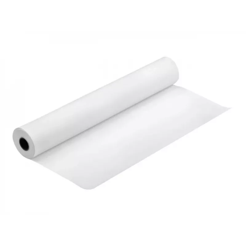 Epson Premium Semimatte nuotraukų popieriaus ritinys, 44 coliai x 30,5 m, 260 g/m²