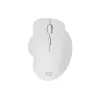 Sbox WM-549 White – belaidė pelė
