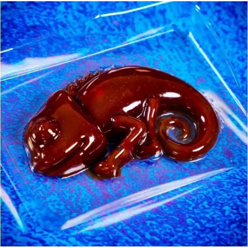 Liscianigiochi mokslo rinkinys „Crazy Science Slime Chameleon“ 304-PL89246 – edukacinis gleivių eksperimentų rinkinys