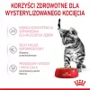 Šlapias kačių ėdalas Royal Canin Sterilised Gravy, 12 x 85 g pakeliai – vištiena, sterilizuotiems kačiukams