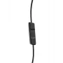 Ausinės Skullcandy S2DUYK-343