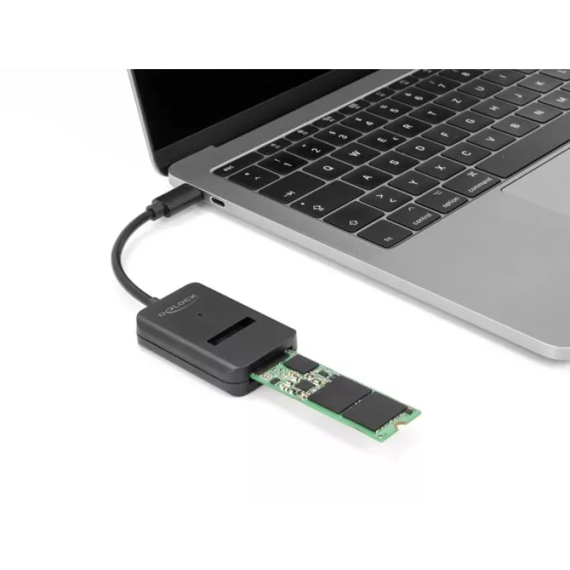 DeLOCK kombinuotas keitiklis M.2 NVMe PCIe SATA SSD USB Type-C 10 Gbps